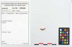Foto von Textil (NHMW-PRAE-125948)